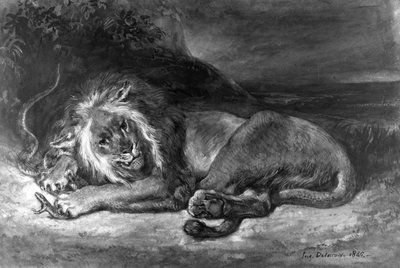 Leone e serpente da Ferdinand Victor Eugene Delacroix
